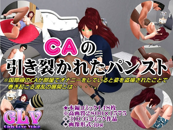 CAの引き裂かれたパンスト(ガールズラブボイス) [d_226279]