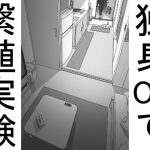 【単品販売】一人暮らしのOLで繫殖実験(おこめのおとも) [d_227224]