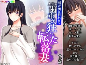 貧乏男に狙われて人生の歯車が狂った転落妻 上巻(悶々堂) [d_227338]