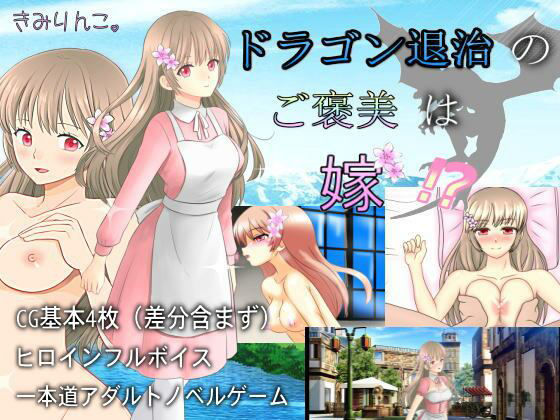 ドラゴン退治のご褒美は嫁！？(きみりんこ。) [d_227753]