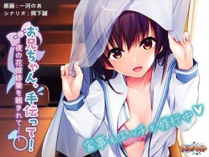 お兄ちゃん、手伝って！〜夜の花嫁修業を頼まれて…〜(アンモライト) [d_228004]