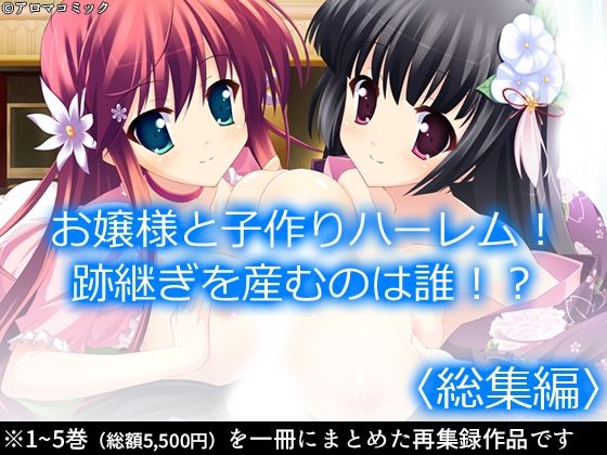 お嬢様と子作りハーレム！跡継ぎを産むのは誰！？ ＜総集編＞(アロマコミック) [d_228263]