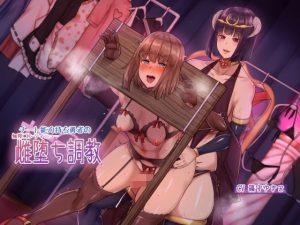 チート能力持ち勇者の無限コンティニュー雌堕ち調教(ヒット＆アウェイ) [d_228778]