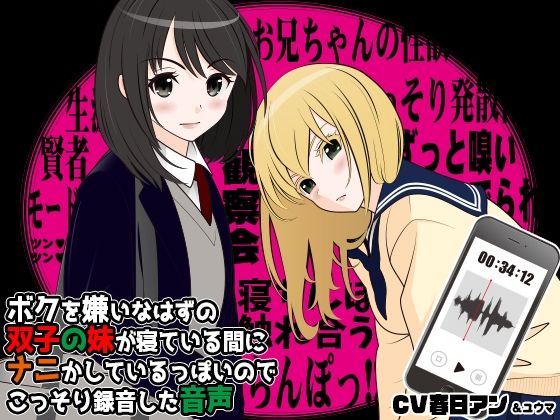 ボクを嫌いなはずの双子の妹が寝ている間にナニかしているっぽいのでこっそり録音した音声(カジハラエム) [d_228872]