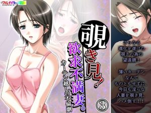 覗き見！欲求不満妻。カーテン越しの不倫劇 3巻(アロマコミック) [d_229433]