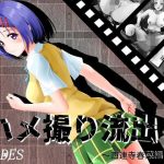 ハメ撮り流出〜西連寺春菜編〜(ハーデス) [d_230396]