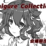 Shigure Collection 会場限定版(曖昧愛玩アジテーション) [d_231001]