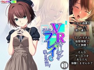 VRオープンワールドでどんなプレイも楽しみ放題！ 1巻(悶々堂) [d_232062]