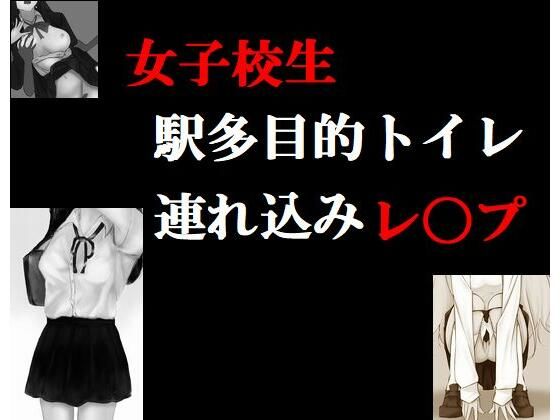 女子校生 駅多目的トイレ連れ込みレ〇プ(Inazuma) [d_232090]