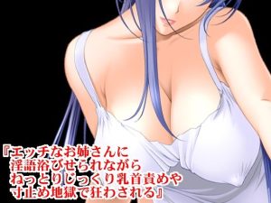 『エッチなお姉さんに淫語浴びせられながらねっとりじっくり乳首責めや寸止め地獄で狂わされる』(淫乱テディベア) [d_232373]