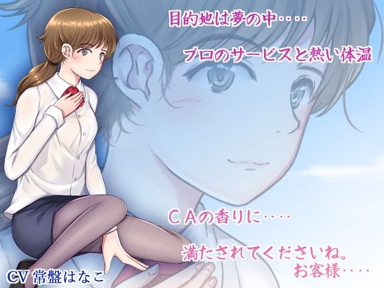 CAさんの添い寝サービス 常盤はなこ(ガーデン) [d_232466]