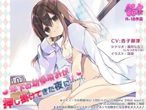 年下の幼馴染みが押し掛けてきた夜に……(ぬ〜びすと) [d_235416]