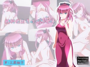 特別捜査員の現場復帰(SometimesBadTool) [d_235959]