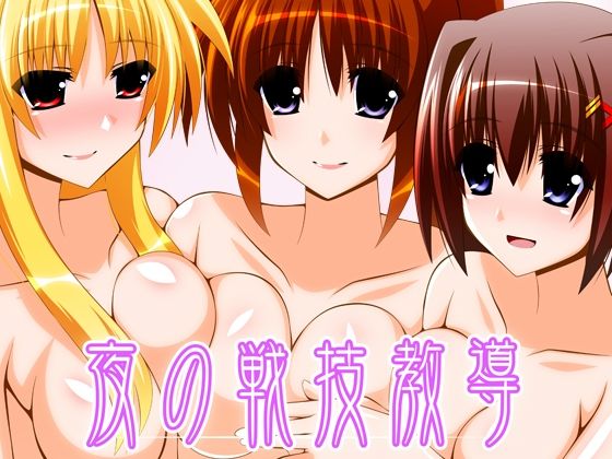 夜の戦技教導(Fake gate) [d_236361]