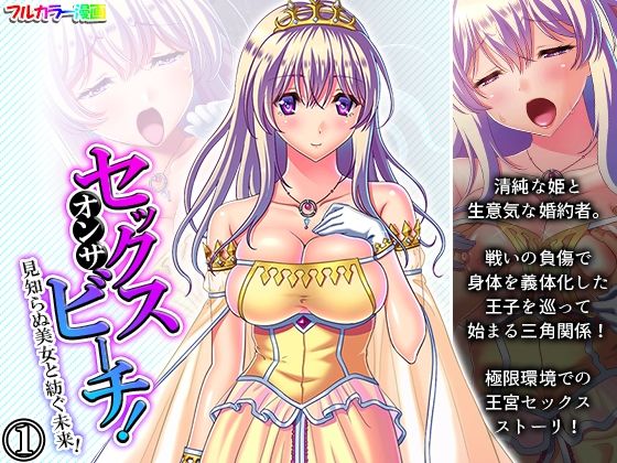 セックスオンザビーチ！見知らぬ美女と紡ぐ未来！ 1巻(あまからや) [d_236706]