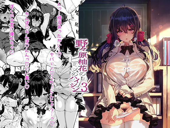 野々原柚花のヒミツのハイシン3(LAMINARIA) [d_237928]