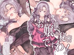 お嬢様の秘密ですわ！(RAID SLASH) [d_238135]