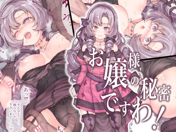 お嬢様の秘密ですわ！(RAID SLASH) [d_238135]