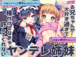 お兄ちゃんが大好き過ぎて種付けしなきゃ許してくれないヤンデレ姉妹(おるがる堂) [d_238874]