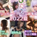 シュガーナイト作品総集編2022夏(シュガーナイト) [d_240846]