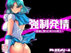 強●発情〜快楽に堕ちた美少女戦士(アトリエり〜ふ) [d_241160]