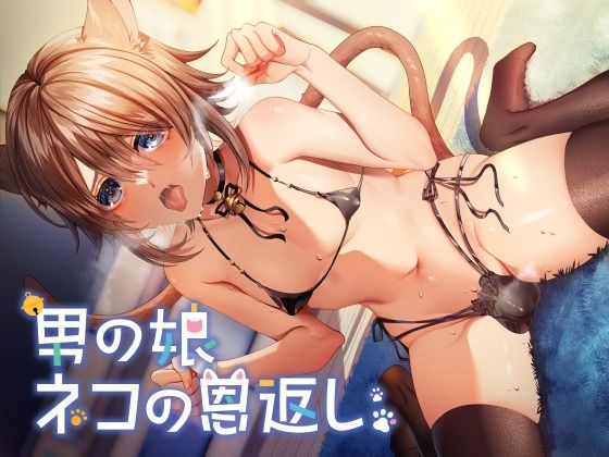男の娘ネコの恩返し(ホワイト×ラバーズ) [d_241191]