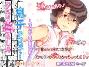 一人暮らしの息子の部屋で…‐母と息子の秘密の関係‐(ヒレカツ) [d_241220]