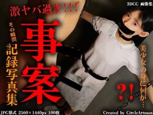 事案 記録写真集(artman) [d_242278]