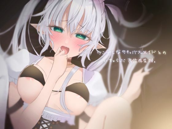 ツンデレなサキュバスメイドとのいちゃらぶ共同生活。(ソルティヒップ) [d_242332]