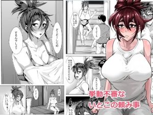 挙動不審ないとこの頼み事(akys本舗) [d_242336]