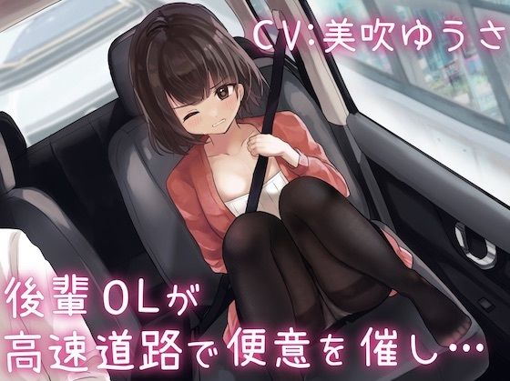 後輩OLが高速道路で便意を催し…(お漏らしふぇち部) [d_245061]