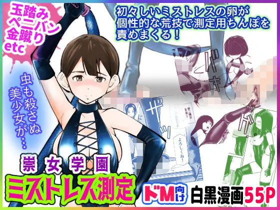 ミストレス測定(ピーカン) [d_245861]