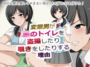 変態男がJKのトイレを盗撮したり覗きをしたりする理由(ブラインドニク) [d_246471]