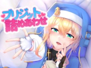 ブリジット詰めあわせ(サイハテ) [d_247976]