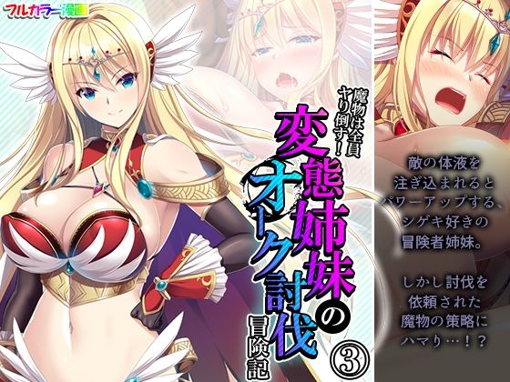 魔物は全員ヤり倒す！変態姉妹のオーク討伐冒険記 3巻(アロマコミック) [d_249495]