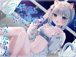つんつん仔猫のあまらぶ発情期♪【KU100バイノーラル】(居酒屋少女) [d_249823]