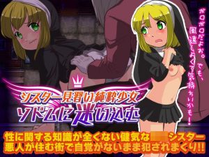 シスター見習い純粋少女 ソドムに迷い込む(天粋球児) [d_252295]