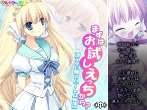 まずはお試しえっちから？冴えない俺のハーレム性活 中(悶々堂) [d_254977]