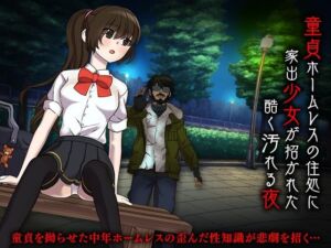 童貞ホームレスの住処に家出少女が招かれた酷く汚れる夜(Rodmans) [d_255646]