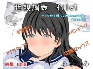 近親調教file1 ツンな妹を俺好みに調教（実妹・彩）(アルモア) [d_256093]