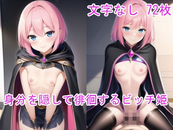 身分を隠して徘徊するビッチ姫(n) [d_248123]