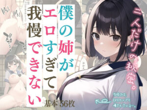 僕の姉がエロすぎて我慢できない(ちくわカタツムリ) [d_248369]