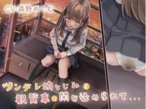 ツンデレ幼なじみと観覧車に閉じ込められて…(お漏らしふぇち部) [d_258787]