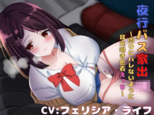 夜行バス家出JK〜周りにバレないように耳元囁き密着えっち〜(めろでぃどっぴゅ) [d_260449]