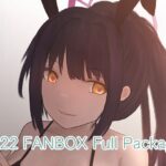 2022 FANBOX Full Package(lanc320) [d_262852]