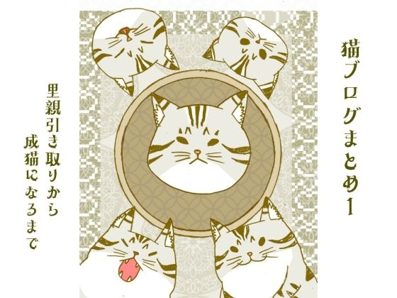 猫ブログまとめ1〜里親引き取りから成猫になるまで〜(小説屋白石華) [d_263129]