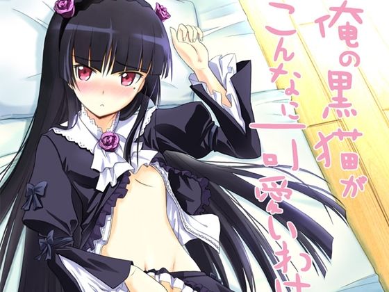 俺の黒猫がこんなに可愛いわけがない(ブルーガーネット) [d_263497]