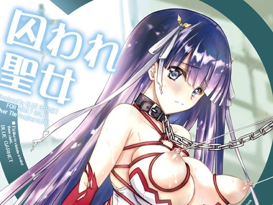 囚われ聖女(ブルーガーネット) [d_263532]