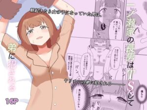 一ノ瀬家の情事(ハンマー少尉) [d_263878]