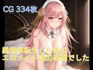 異世界転生した先はエロメイド達の楽園でした(夢幻堂) [d_251796]